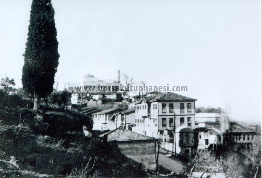 Yeşil Medrese