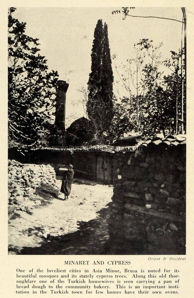 CAmi 1933