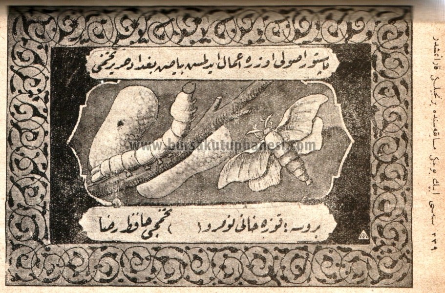 Pastör usulü üzere imal edilmiş Bağdat Harir tohumu bursa Koza Hanı Tohumcu Hafız Rıza (İpek müsabakasında kazanılan belge)