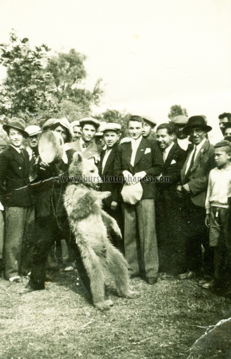 Ayı oynatma, 26.07.1935