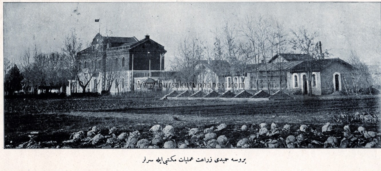Ziraat okulu