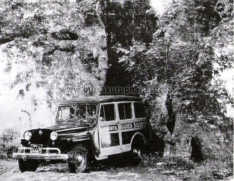 Ulufeli Çınar (Koğukçınar) - 1946