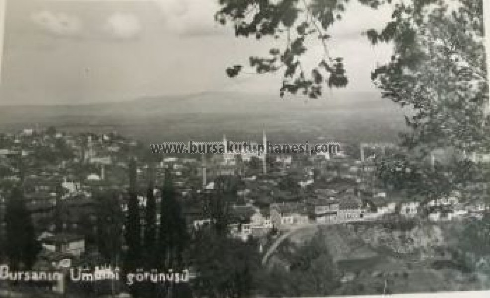 Bursa Panoramik