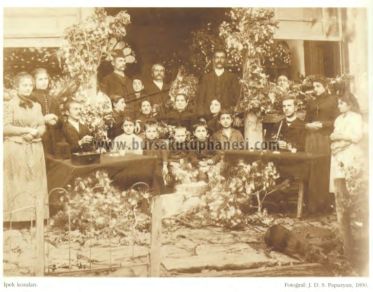 İpek kozaları, ipekçiler, 1890