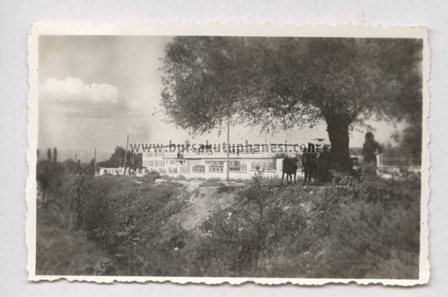 Merinos Fabrikası