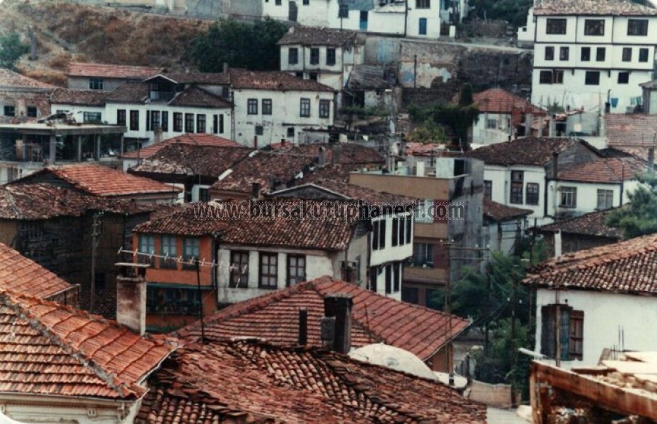 Tirilye/Zeytinbağı
