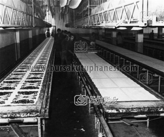 Havlu Dokuma Fabrikası, 1983
