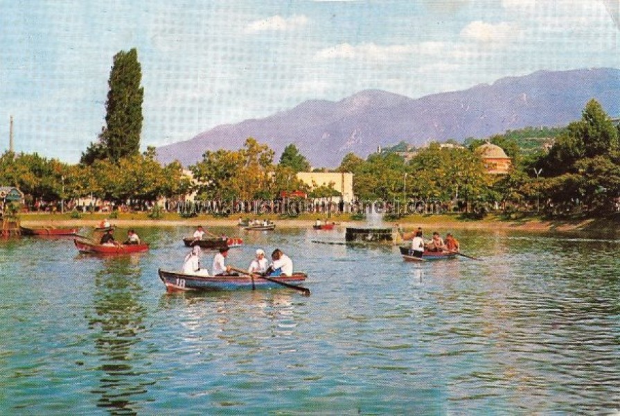 bursa