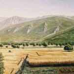 BURSA-Ekin-Tarlasi-abdullah çavuş