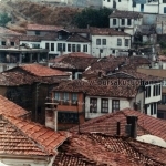 Tirilye/Zeytinbağı