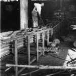 İnegöl, Mobilya Fabrikası keresteler 1983