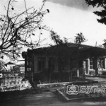 Bölge Başkanlığı, 1954