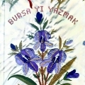 BURSA'YI YAZMAK